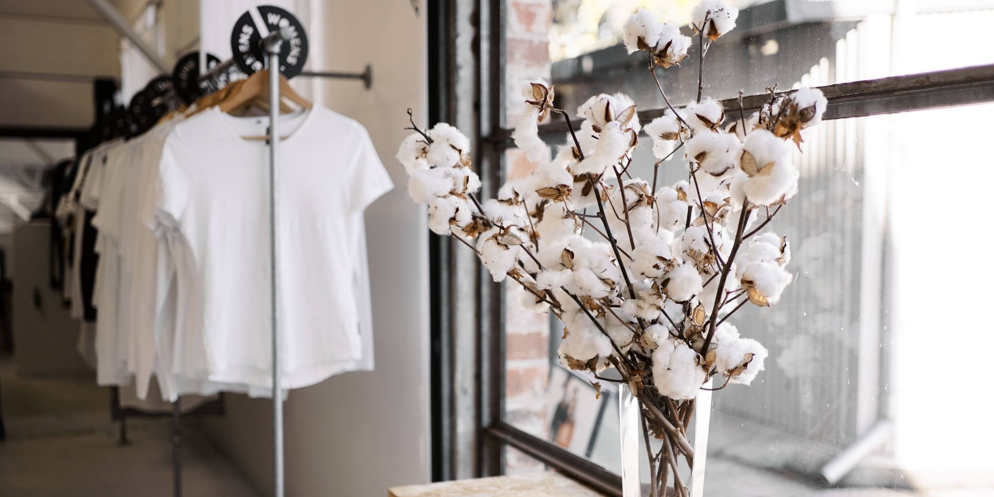 rack of white ethical tees and cotton plant in vase in Citizen Wolf factory