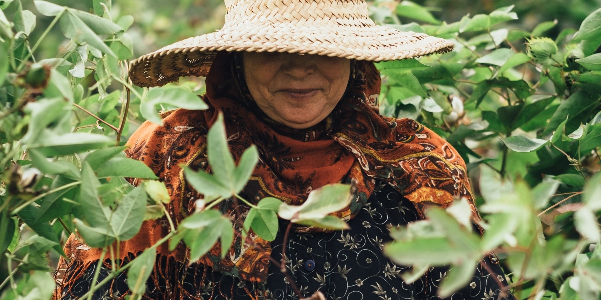 A cotton field worker in Egypt wearing a straw hat over their eyes and a colourful scarf, smiling slightly.