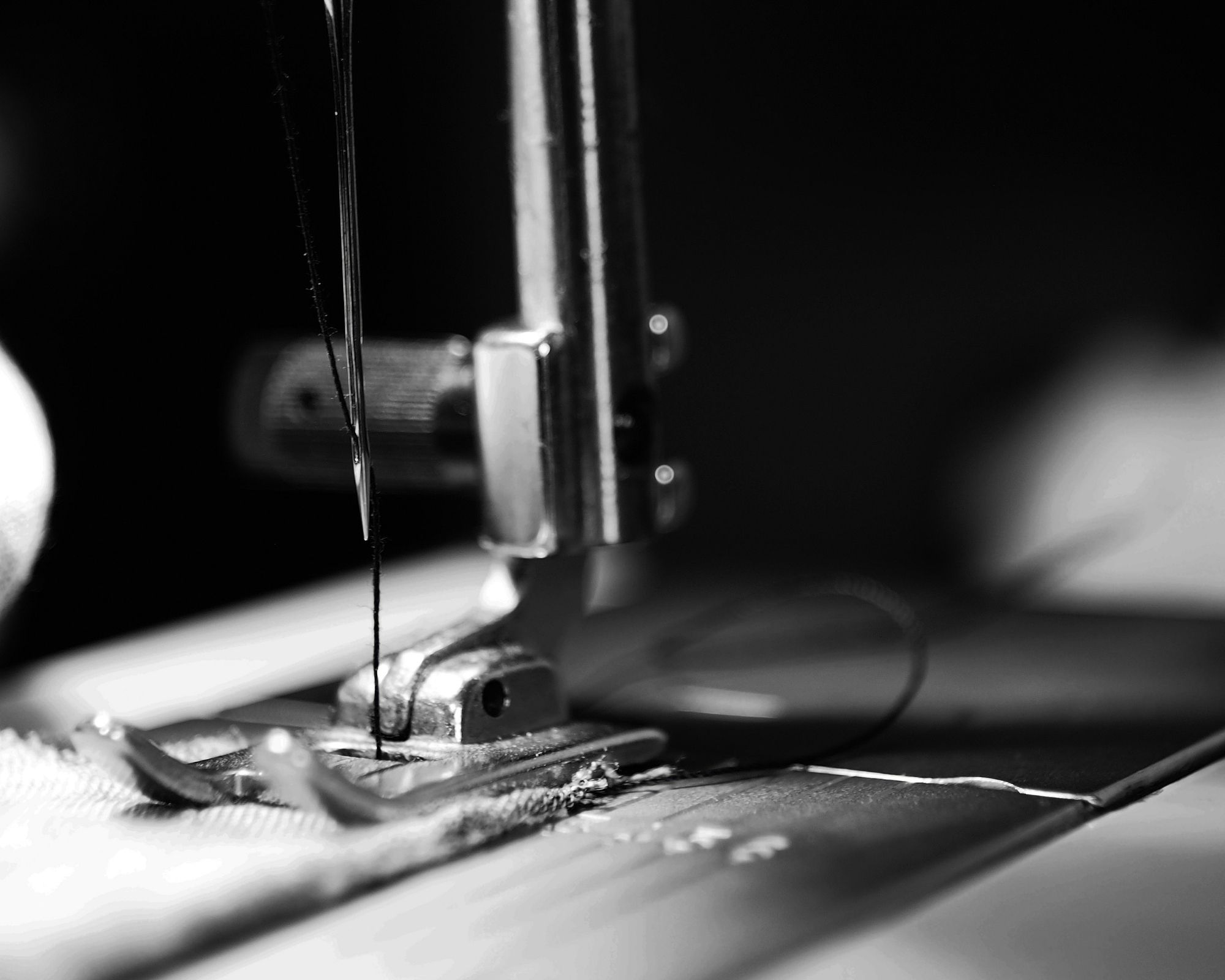 Close up of a sewing machine making a stitch in fabric, in black and white.