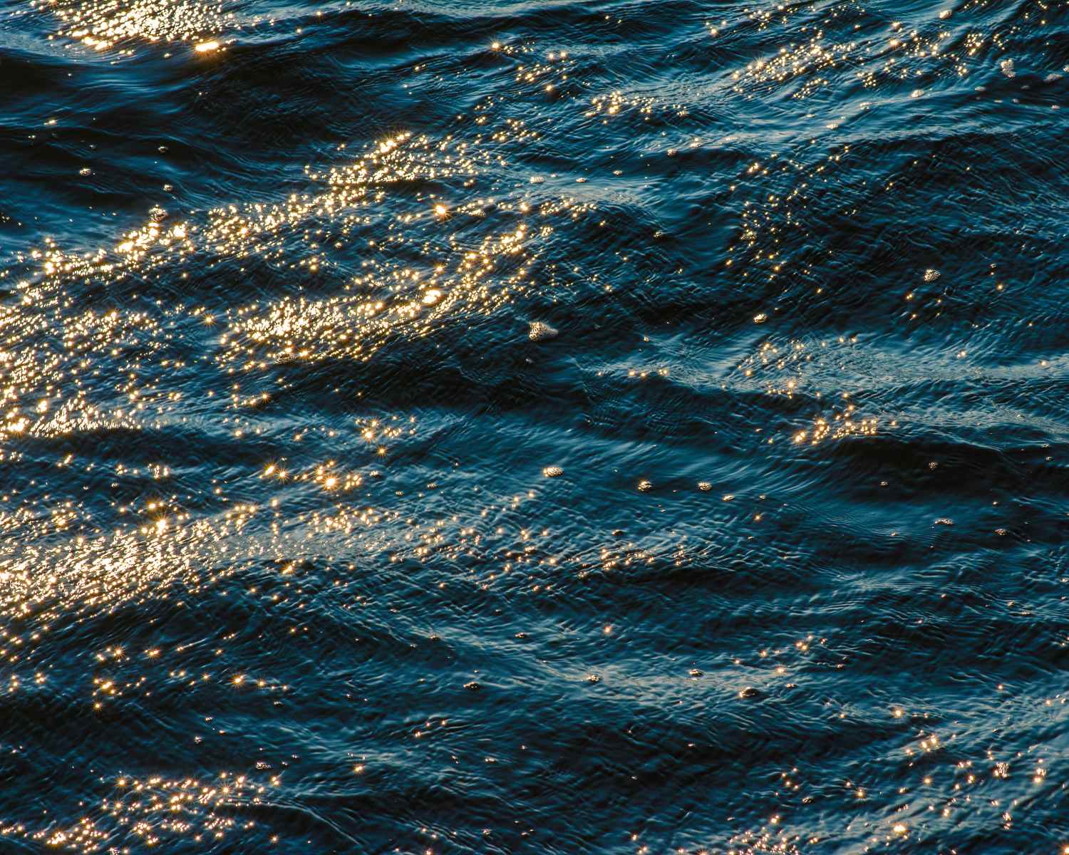 Sunlight on the sea