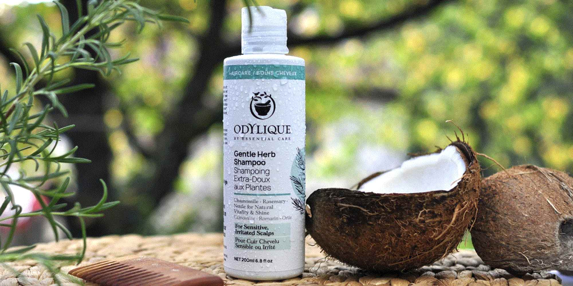 odylique shampoo