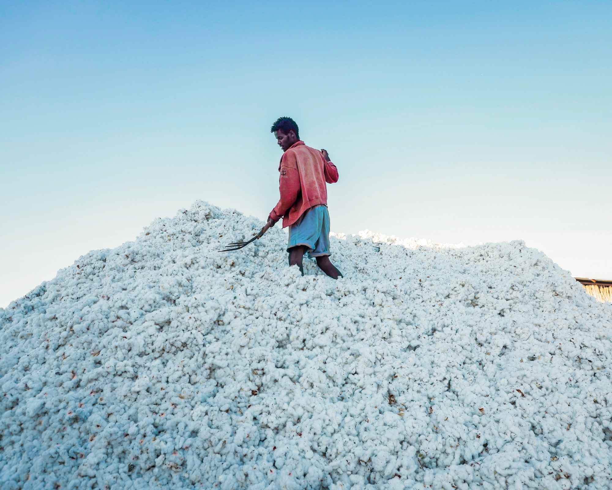 person working on the bottom up cotton project in ethiopa